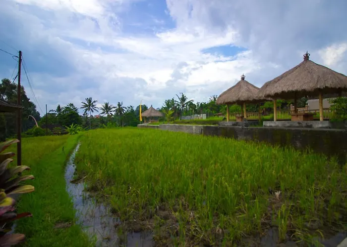 Yoga House 3*